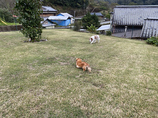 IMG_0070.jpg