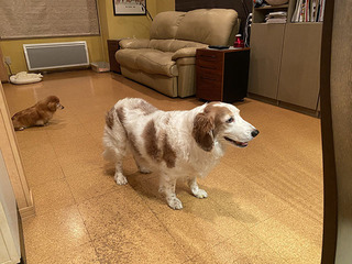 IMG_0868.jpg