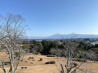 IMG_1280.jpg