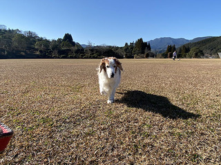 IMG_1369.jpg