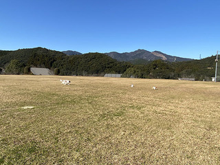 IMG_1372.jpg