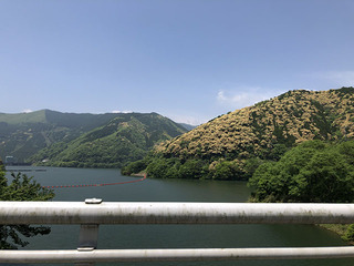 IMG_2167.jpg