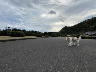 IMG_2229.jpg