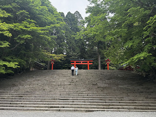 IMG_3069.jpg