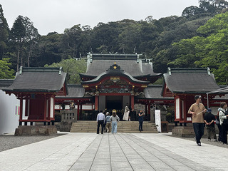 IMG_3072.jpg