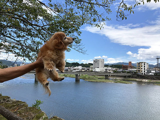 IMG_4380.jpg