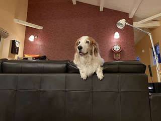 IMG_6755.jpg