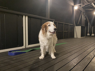 IMG_7372.jpg