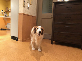 IMG_8800.jpg