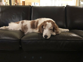 IMG_8843.jpg