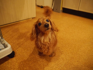 P1250010.jpg