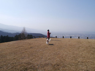 P1300430.jpg