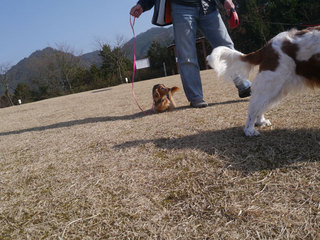P1300470.jpg