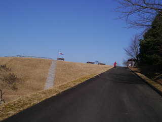 P1300529.jpg